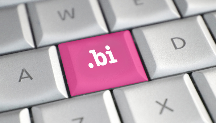 consultoria bi